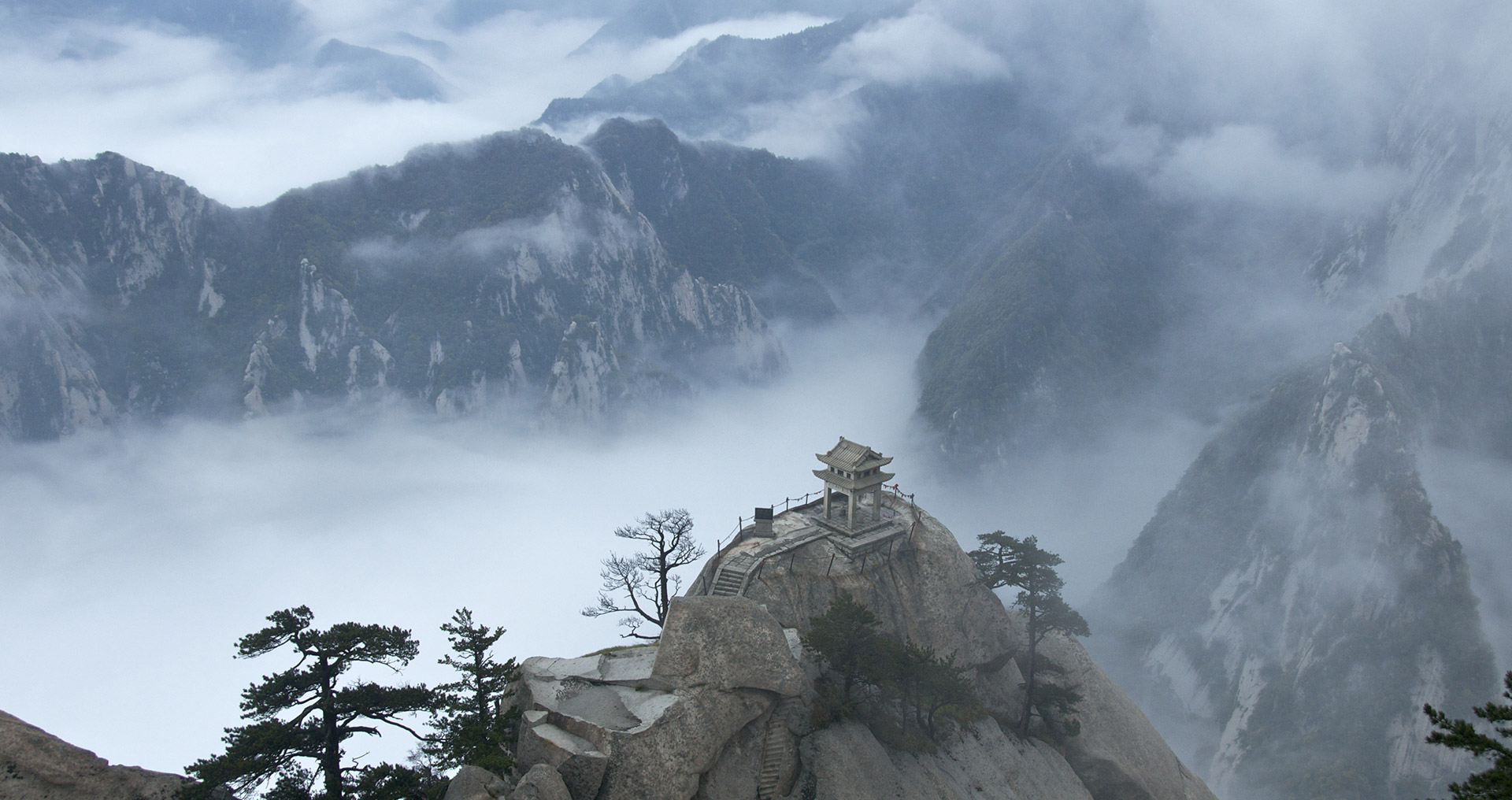 【使用教程】简单的云呼死你